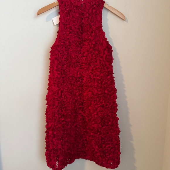 NWT J.Crew Factory Red Rosette mini dress SZ 0 - Picture 5 of 7